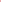 Chromatic Blossom Cotton Cord